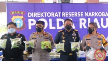 Operasi Gabungan Bea Cukai Riau Bersama Polda Riau Kembali Gagalkan Penyelundupan 49 Kilogram Sabu