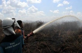 Cegah Karhutla, Riau Bangun 100 Sekat Kanal