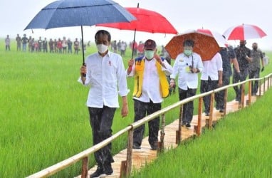 Indef: Sektor Pertanian Jadi Bantalan Sepanjang Resesi Akibat Pandemi 