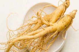 Ini Manfaat Ginseng Bagi Kesehatan Tubuh