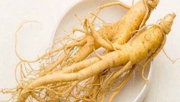 Ini Manfaat Ginseng Bagi Kesehatan Tubuh