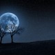 Fenomena Full Harvest Moon: Mengapa Bulan Terlihat Lebih Besar dan Oranye?