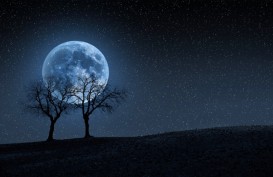 Fenomena Full Harvest Moon: Mengapa Bulan Terlihat Lebih Besar dan Oranye?