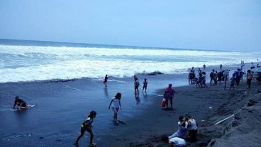 Fenomena Munculnya Ribuan Ikan Teri di Pantai Selatan DIY