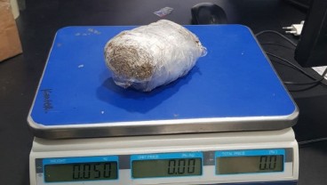 Bea Cukai Gagalkan Pengiriman 50 Gram Ganja Via Ekspedisi di Kudus