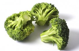 Brokoli, Si Sayuran Hijau Pencegah Gejala Hipertensi
