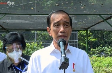 Jokowi Targetkan Rehabilitasi 34.000 Hektare Lahan Mangrove Sepanjang 2021