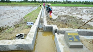 Kementerian PUPR Catat Realisasi Program Padat Karya Tata Guna Irigasi Capai Rp2,4 Triliun