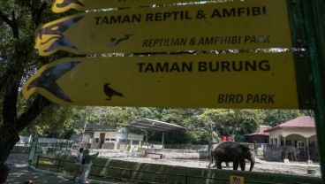 Gembira Loka Zoo Pilih Buka Terbatas Demi Tekan Biaya Operasional