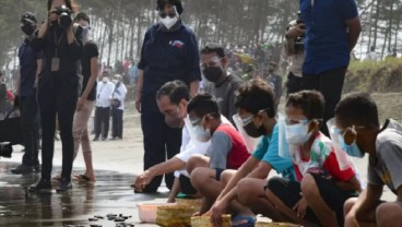 Jokowi Lepasliarkan 1.500 Tukik di Pantai Kemiren Cilacap