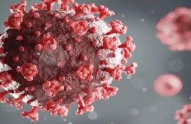 Hore, Penemu Vaksin Astrazeneca Sebut Covid Bakal Seperti Flu