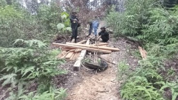 Tangkap Pembalak di Taman Nasional Gunung Leuser, Petugas Diadang Massa