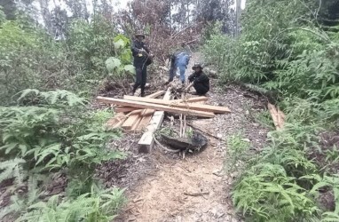 Tangkap Pembalak di Taman Nasional Gunung Leuser, Petugas Diadang Massa