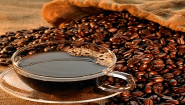 Coffe Lover, Ini Lho 10 Kopi Termahal di Dunia 2021