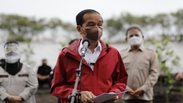 Bengkalis Mendapatkan Program Rehabilitasi Mangrove Seluas 1.292 Hektare