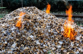 Hindari Potensi Penyalahgunaan, Bea Cukai Musnahkan Pita Cukai dan Rokok Ilegal