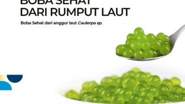 Sehat dan Nikmat dengan Boba Rumput Laut, Mau Coba?