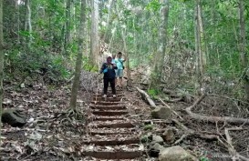575 Hektare Cagar Alam Weigeo Barat Bisa Jadi Hutan Produksi