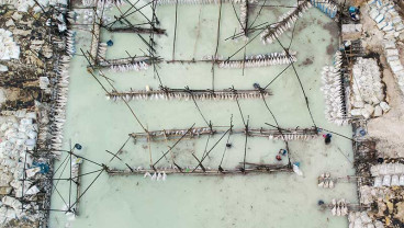 Lahan Pengolahan Limbah Tepung di Jawa Barat
