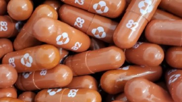 Fakta Molnupiravir Terbukti Efektif untuk Obat Covid-19