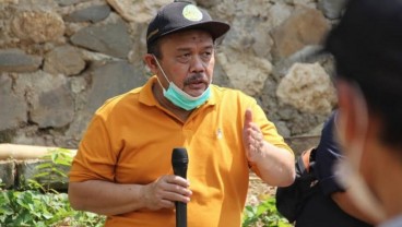 Selama Pandemi, Produksi Madu Jabar Melesat