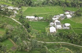 Lombok Utara Andalkan Sektor Pertanian Pulihkan Ekonomi