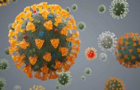 Oxford: Virus Corona Masih Merajalela, Belum Ada Negara yang Aman