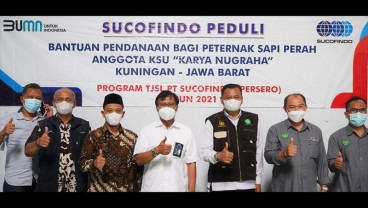 Sucofindo Salurkan Dana Rp1,26 miliar untuk Peternak Sapi Perah