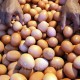 Harga Telur Anjlok Rp15.000 per Kg, Pemerintah Diminta Bantu Peternak Ayam 