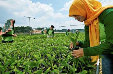 Serapan Domestik Dorong Produksi Pulp dan Kertas