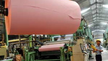 Ekspor Industri Hilir Hutan Tumbuh 28 Persen