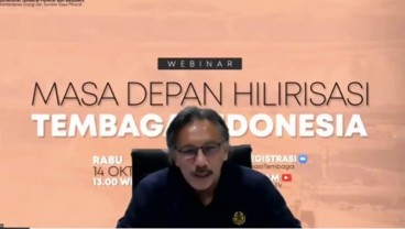 Hilirisasi Mineral, Dirjen Minerba Singgung Smelter IMIP dan Freeport yang Belum Optimal