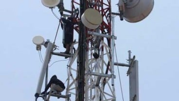 Cuaca dan Akses Jadi Tantangan Bangun BTS 4G di Daerah 3T