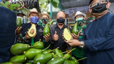 Konsep Urban Farming di Kota Bandung Harus Terus Dikembangkan