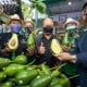 Konsep Urban Farming di Kota Bandung Harus Terus Dikembangkan