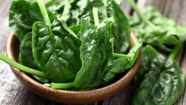 Simak 8 Nutrisi Makanan yang Bisa Tingkatkan Kesehatan Mata  