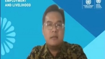 UNDP Gulirkan 3 Program untuk Calon Wirausaha Muda 