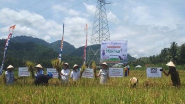 Jelang Hari Pangan Sedunia, PPI Gelar Panen Raya di Sulawesi Utara 