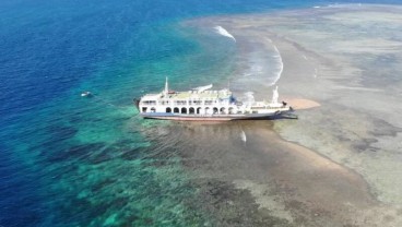 Kapal Feri Kandas di Lombok Timur, Terumbu Karang Rusak Mencapai 19 Are