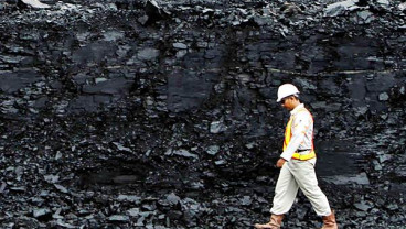 Harga Batu Bara Anjlok, Saham Emiten Terkait Rawan Profit Taking