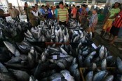 Bisnis Budidaya Ikan Meningkat dengan Memanfaatkan Teknologi