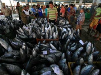 Bisnis Budidaya Ikan Meningkat dengan Memanfaatkan Teknologi