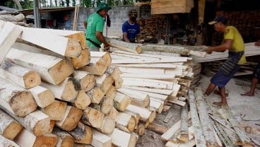 Penjualan Log Kayu Perhutani Jatim Diyakini Bisa Tembus Rp774,3 Miliar Tahun Ini