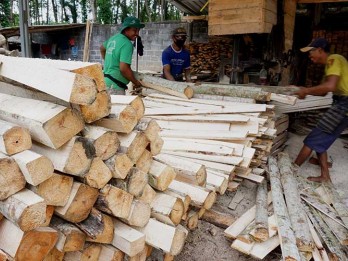 PERHUTANI JAWA TIMUR  : Penjualan Log Kayu Meningkat