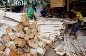PERHUTANI JAWA TIMUR : Penjualan Log Kayu Meningkat
