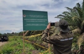 Gawat! Kebun Sawit Kembali Merambah Suaka Margasatwa Rawa Singkil