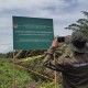 Gawat! Kebun Sawit Kembali Merambah Suaka Margasatwa Rawa Singkil