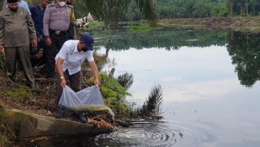 PTPN V Dorong Pemuda Siak Bangun Ekowisata Akselerasi Pemulihan Ekonomi 