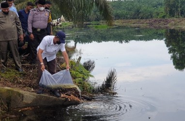 PTPN V Dorong Pemuda Siak Bangun Ekowisata Akselerasi Pemulihan Ekonomi 