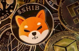 Mengenal Token Shiba Inu, Saingan Dogecoin